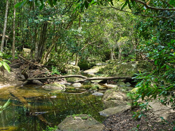 Australien 20131216 0093