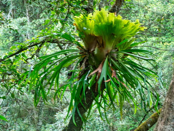 Australien 20131216 0097