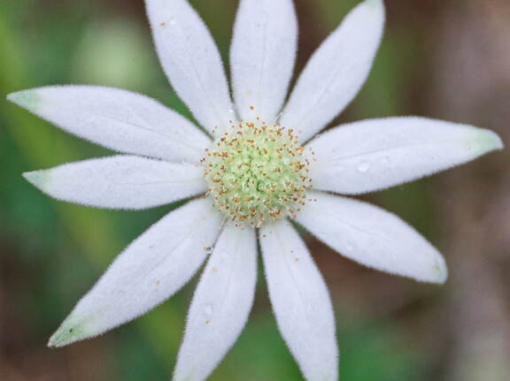 Australien 20131216 0104