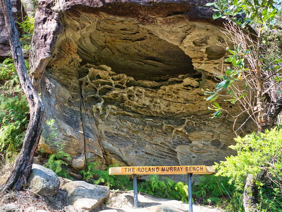 Australien 20131216 0119