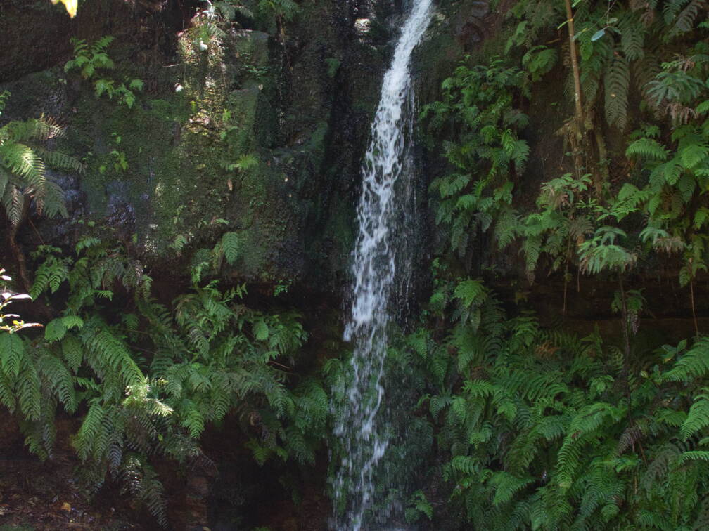 Australien 20131219 0163