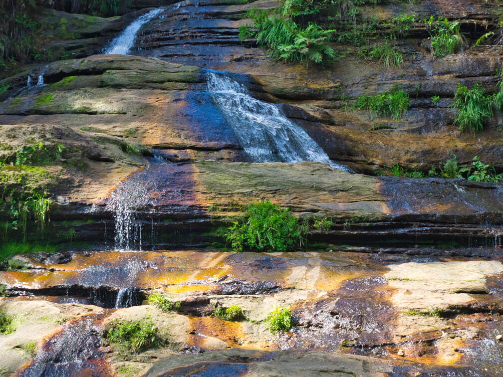 Australien 20131219 0185