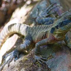 Australien 20131220 0202