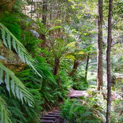 Australien 20131220 0207