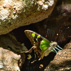 Australien 20131220 0209