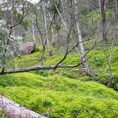 Australien 20131220 0231