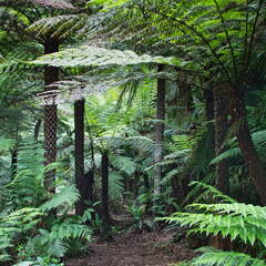 Australien 20131222 0290