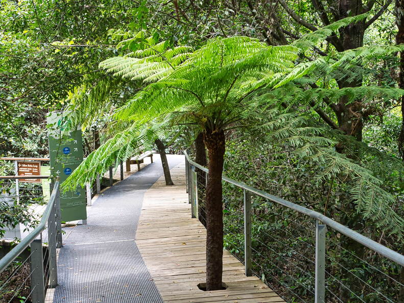 Australien 20131223 0322