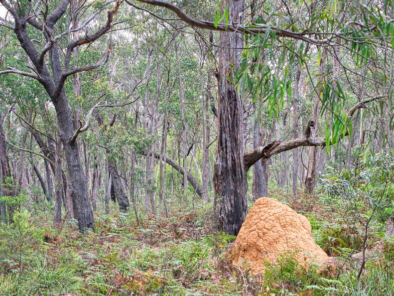 Australien 20131224 0334