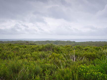 Australien 20131225 0357