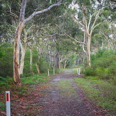 Australien 20131225 0358