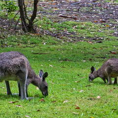 Australien 20131225 0374