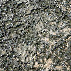 Australien 20131228 0428