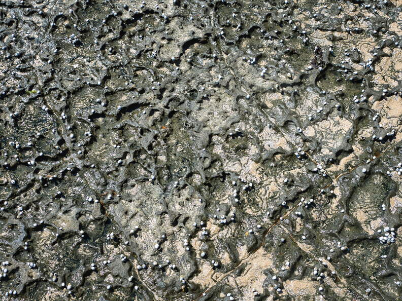 Australien 20131228 0428