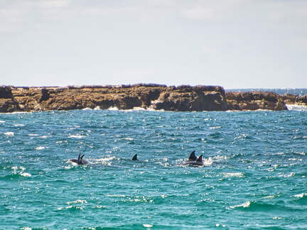 Australien 20131228 0438