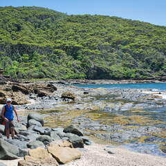 Australien 20131228 0441