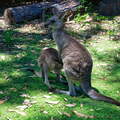 Australien 20131228 0448