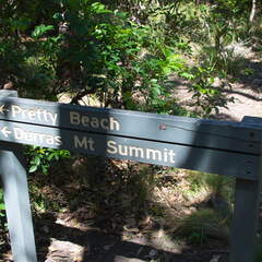 Australien 20131228 0452