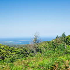 Australien 20131228 0456