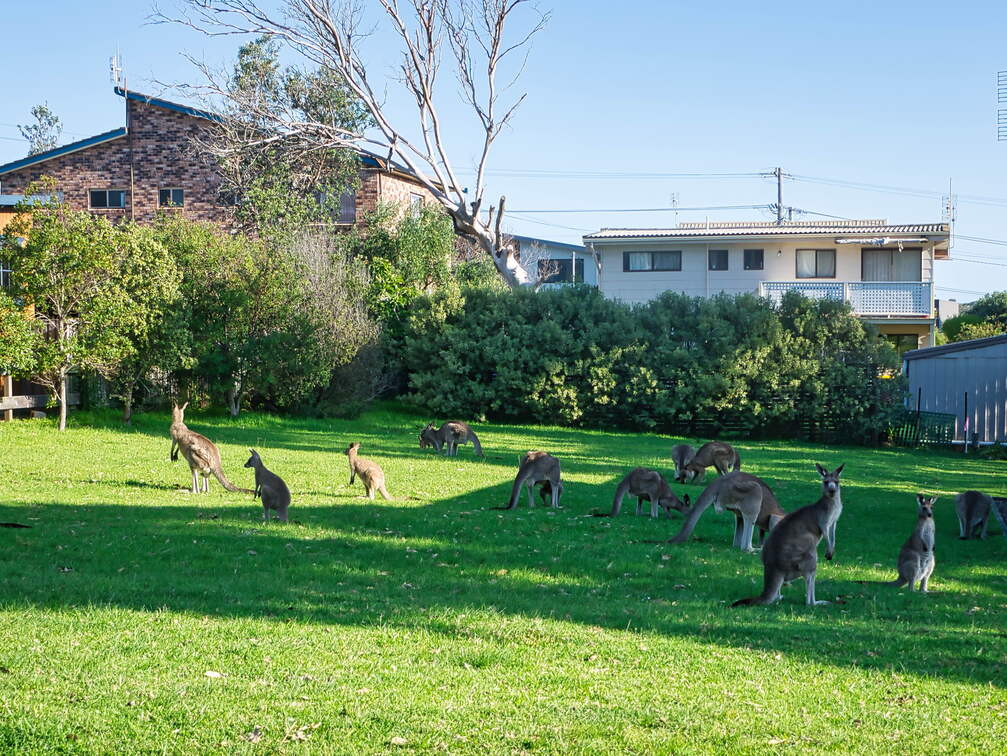 Australien 20131228 0460