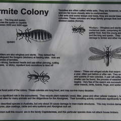 Australien 20131230 0469