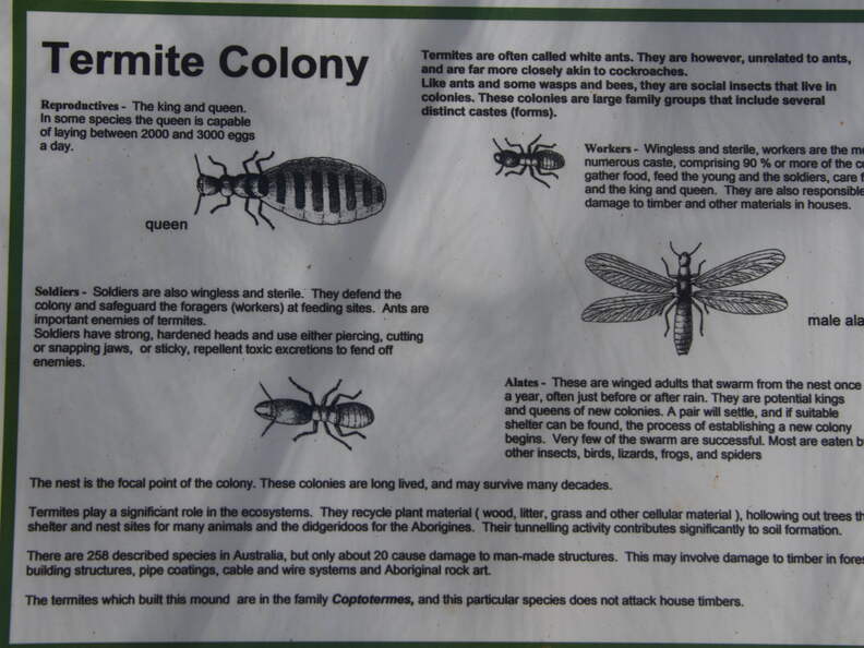 Australien 20131230 0469