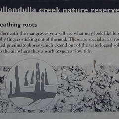 Australien 20131230 0481