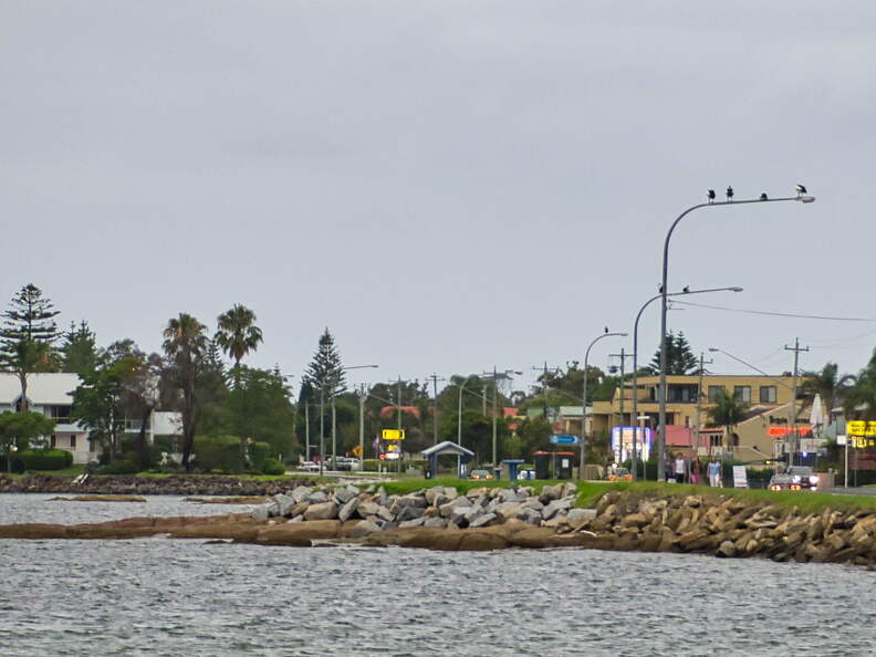 Australien 20131230 0485