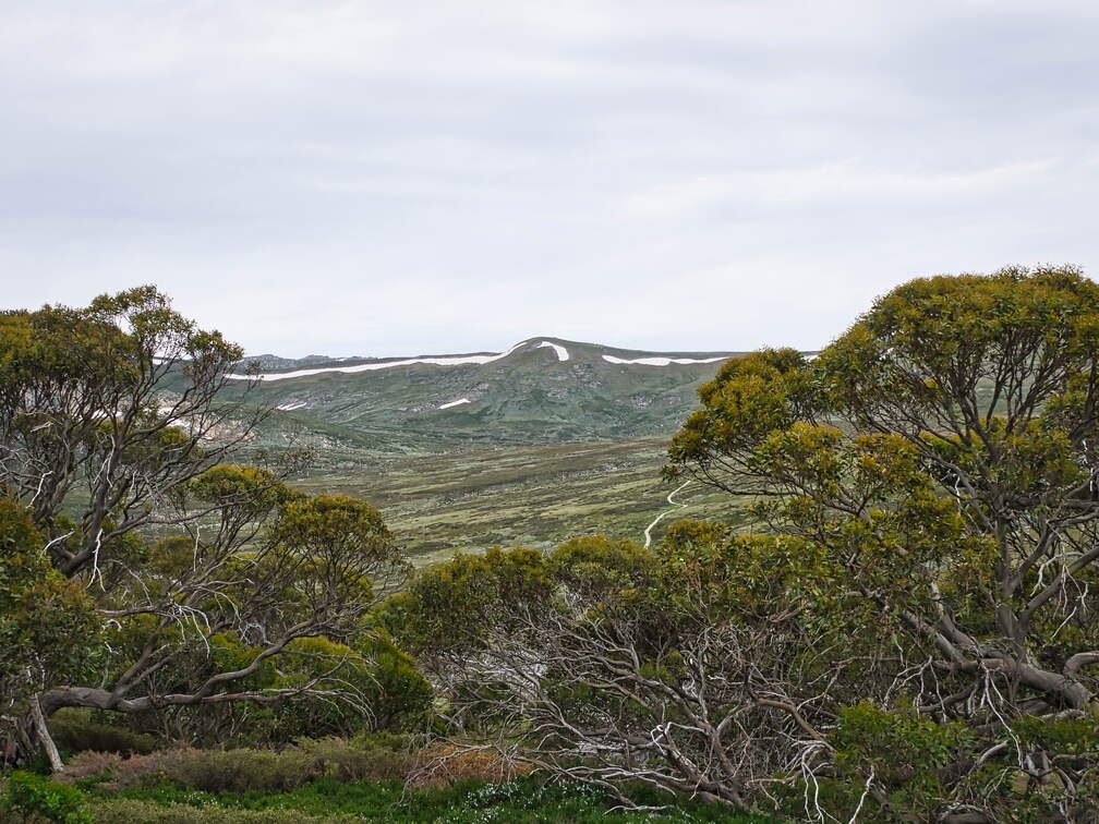 Australien 20140101 0500