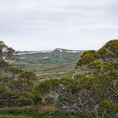 Australien 20140101 0500