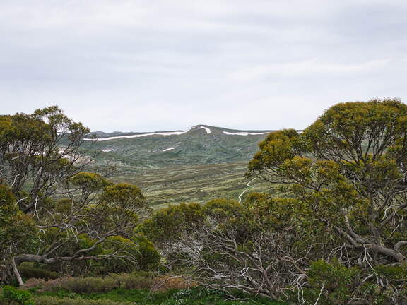 Australien 20140101 0500