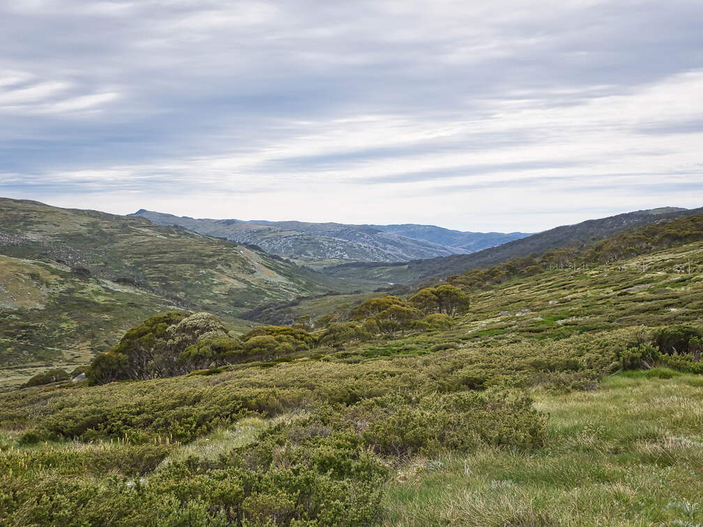 Australien 20140101 0503