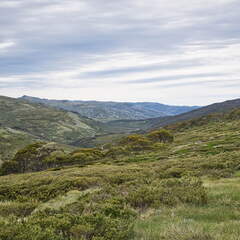 Australien 20140101 0503