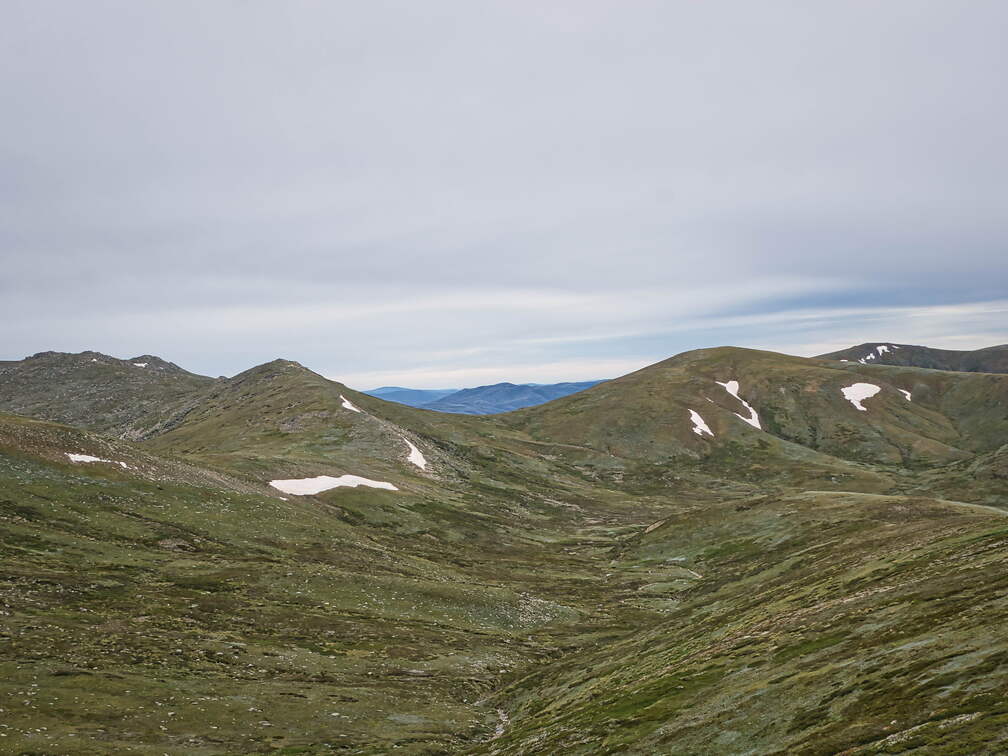 Australien 20140101 0507