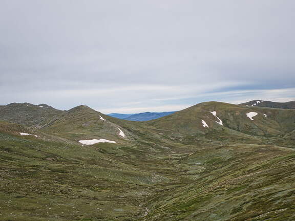 Australien 20140101 0507