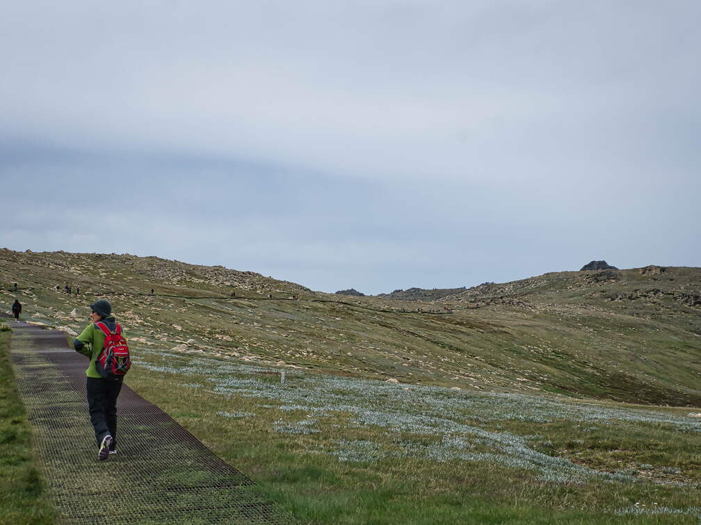 Australien 20140101 0509