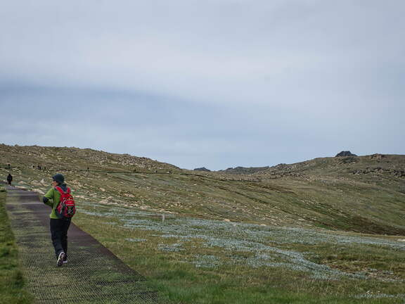 Australien 20140101 0509