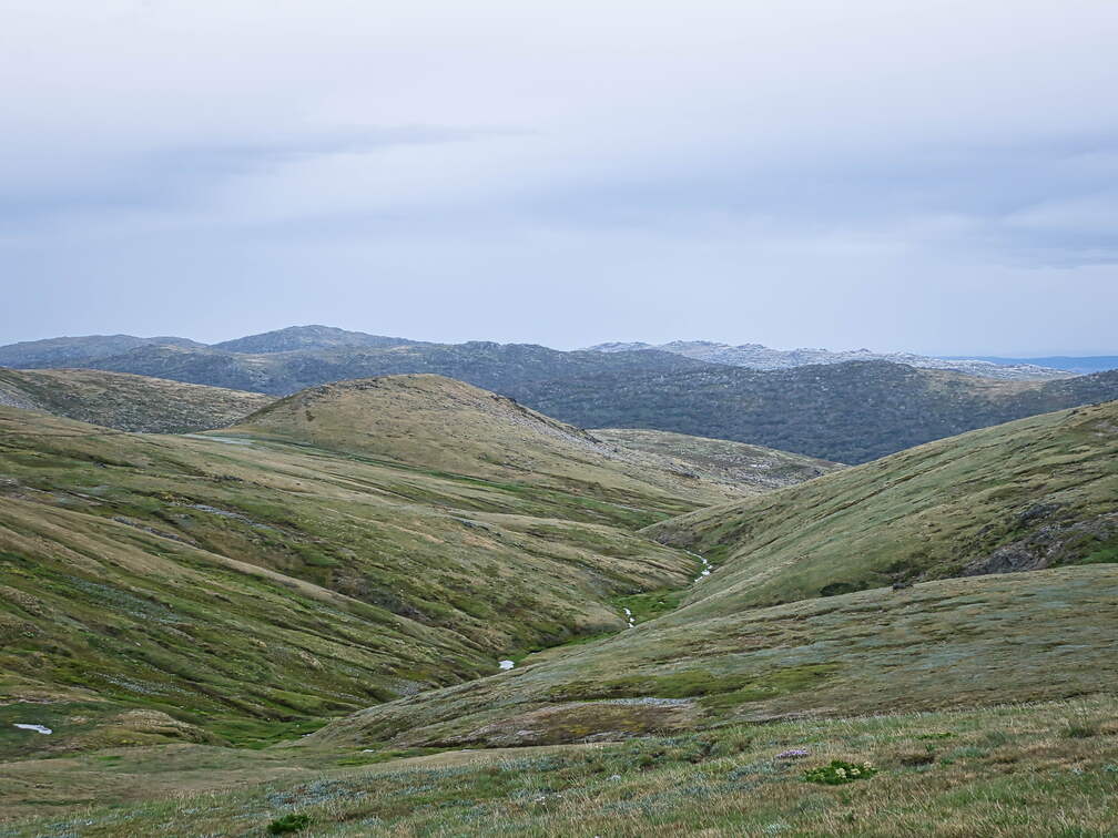 Australien 20140101 0514