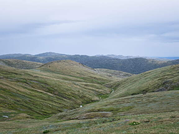 Australien 20140101 0514