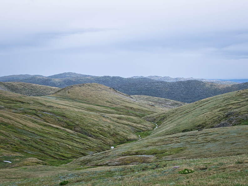 Australien 20140101 0514