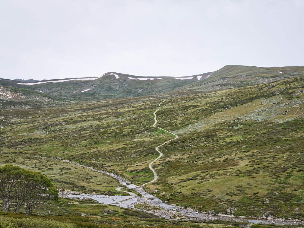 Australien 20140101 0523