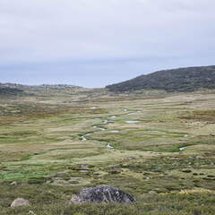 Australien 20140101 0527