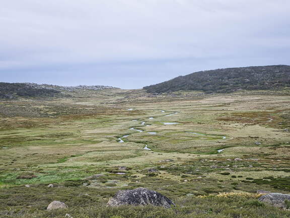 Australien 20140101 0527