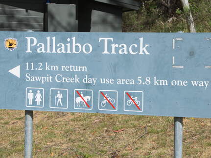 Australien 20140101 0529