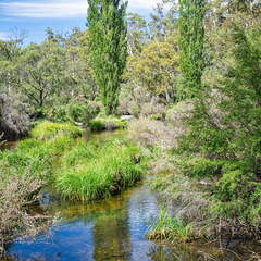 Australien 20140101 0530