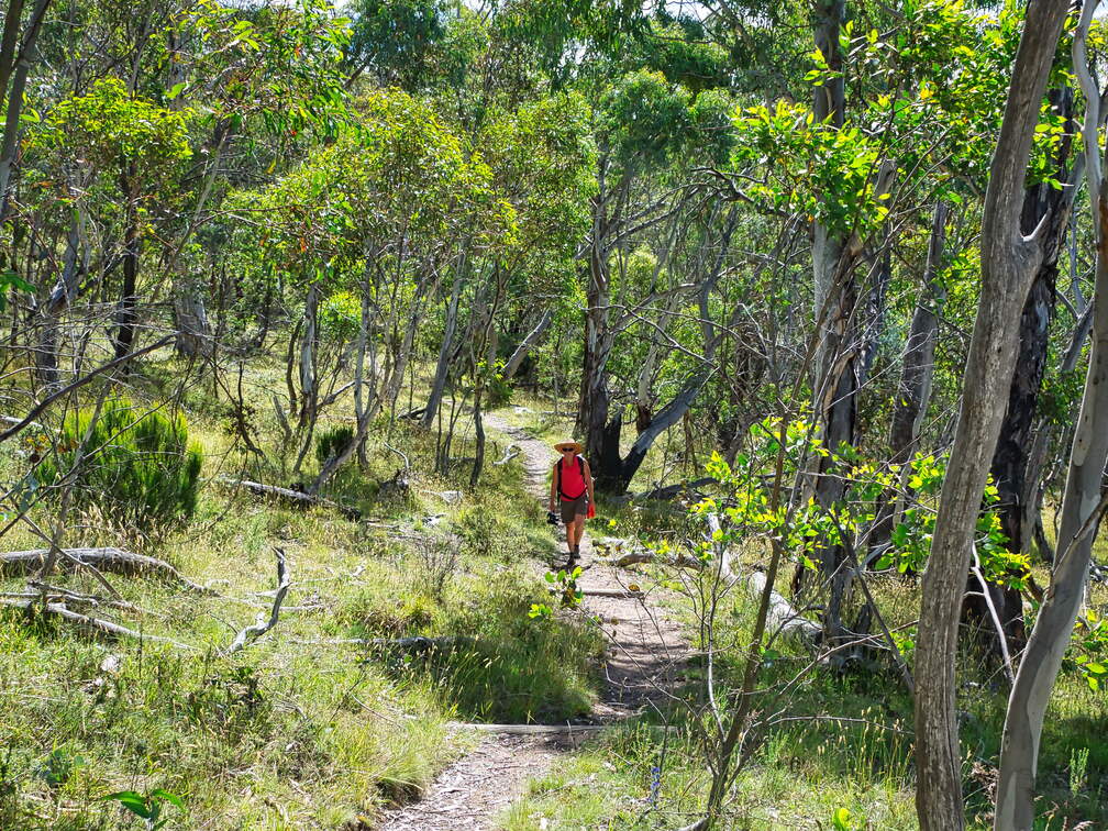 Australien 20140102 0532