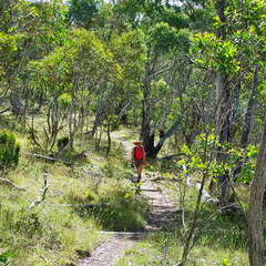 Australien 20140102 0532