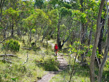 Australien 20140102 0532