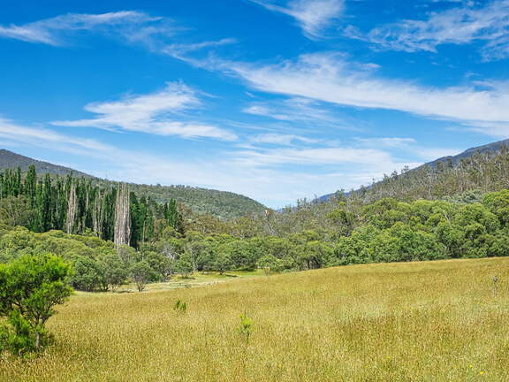 Australien 20140102 0533