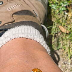 Australien 20140102 0535